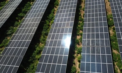 Germania premiază 317MW în licitație solară pe acoperiș cu o ușoară creștere ...