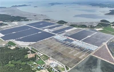 Coreea de Sud lansează licitație solară de 1GW cu standarde mai stricte de ca...